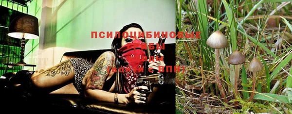 тгк Краснотурьинск