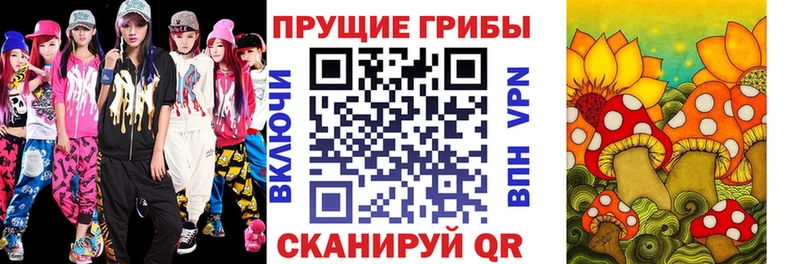 Галлюциногенные грибы прущие грибы Медвежьегорск